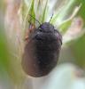 235234 – Photo : Liliane Delattre – France (30)